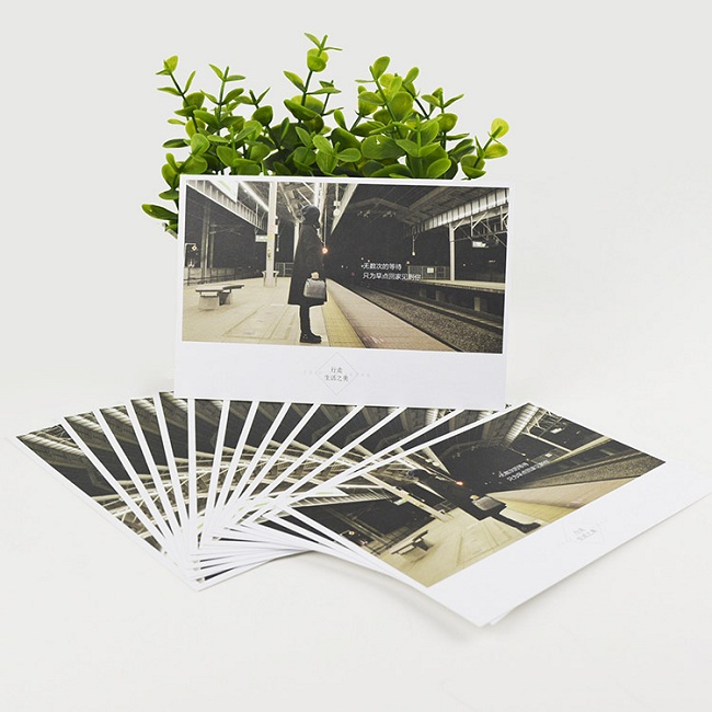 ����Ƭ����