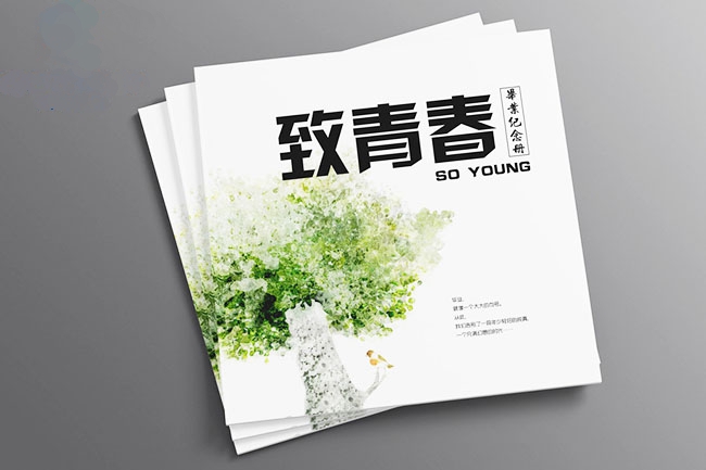 ���I(y��)�o(j��)���ӡˢ