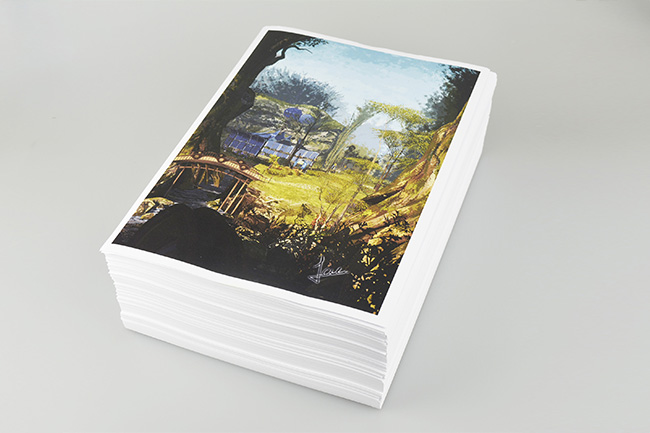 ����Ƭ����